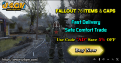 Fallout 76 special item promotion